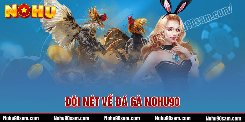 Đá Gà Nohu90 - Cược Trực Tiếp Uy Tín Đẳng Cấp Số 1 VN